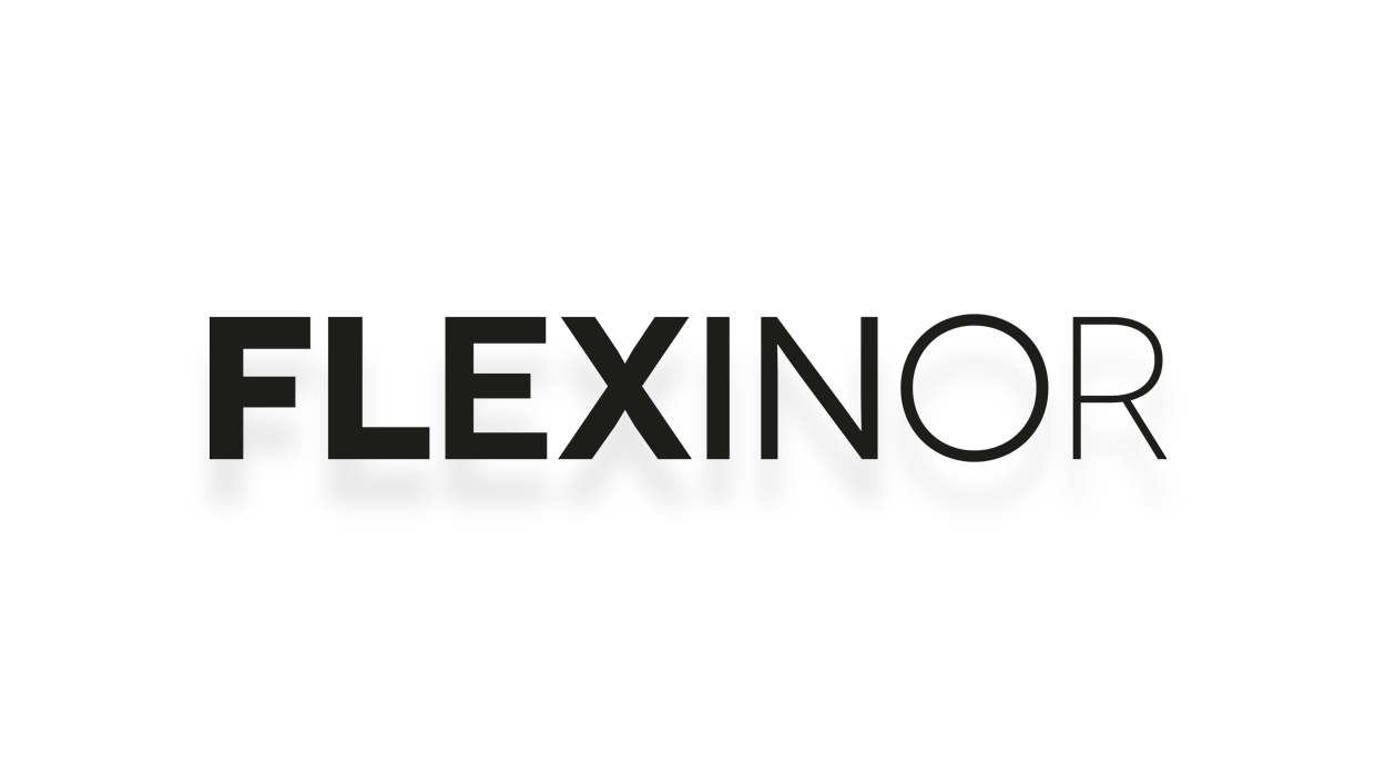 Logo Flexinor